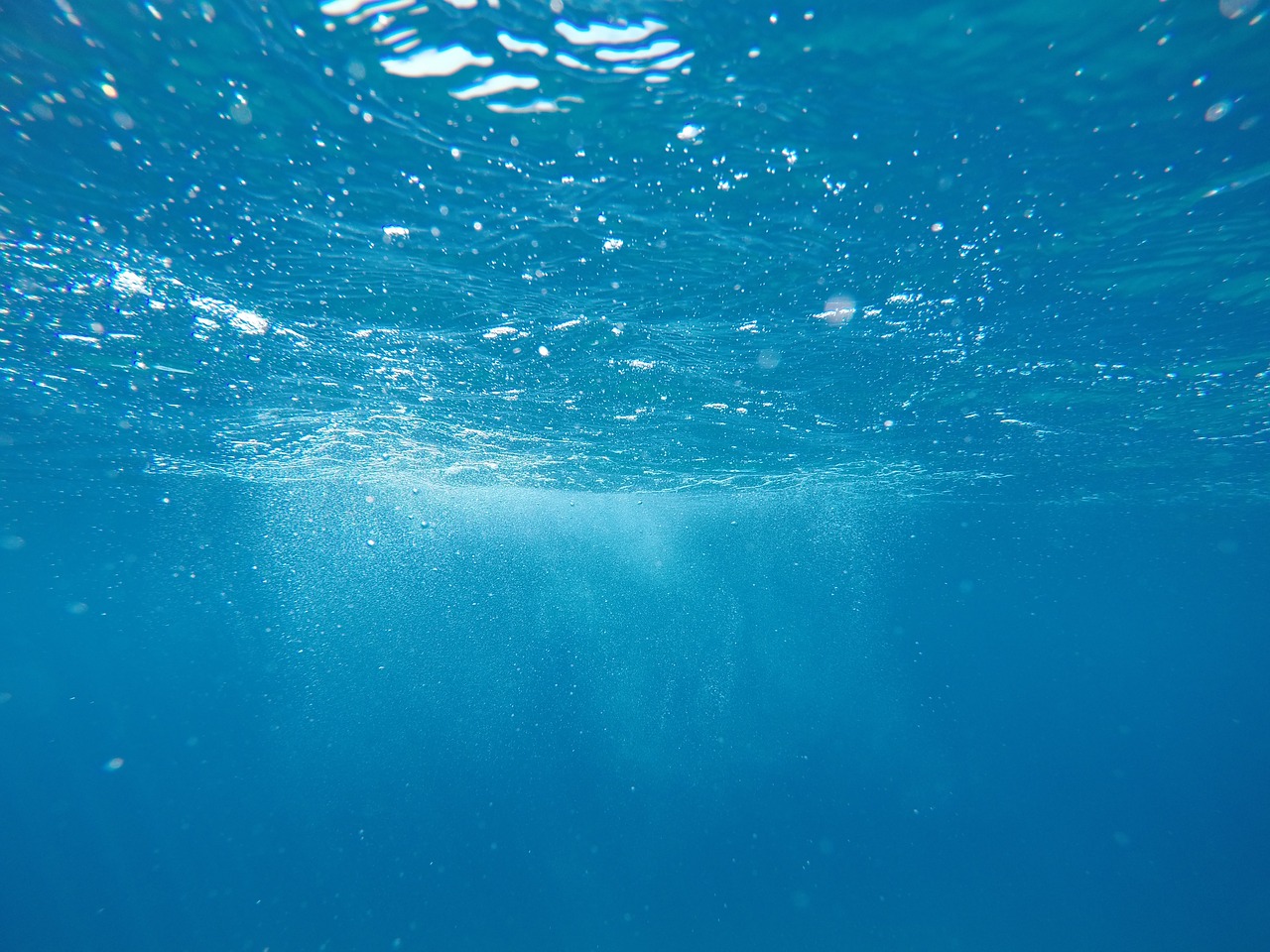 Image - nature water ocean sea underwater