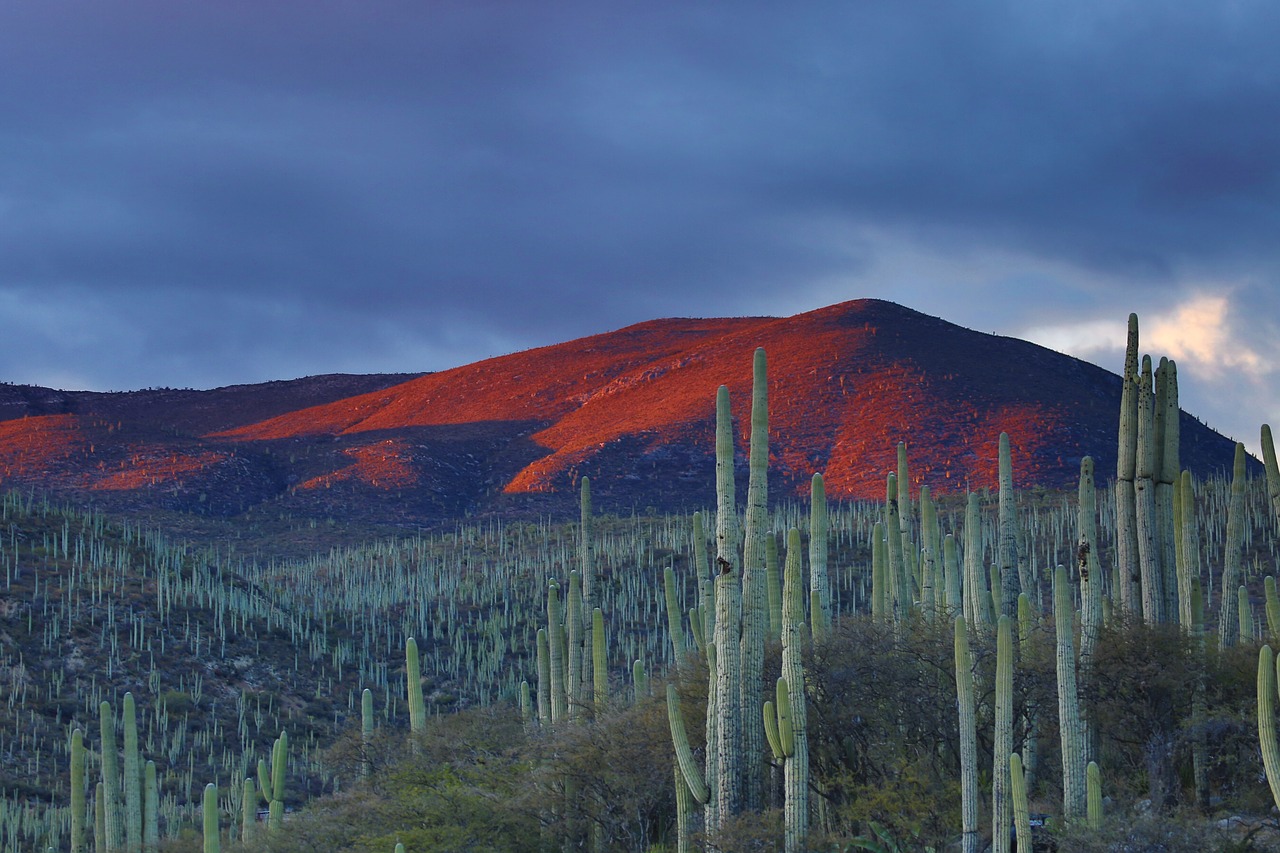 Image - nature landscape mountains slope