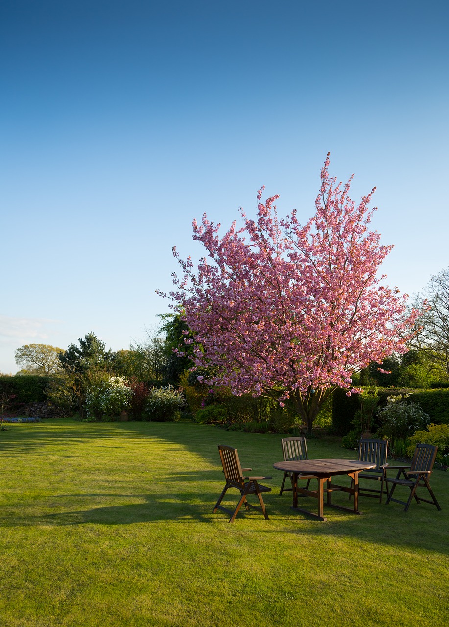 Image - nature garden lawn yard chairs