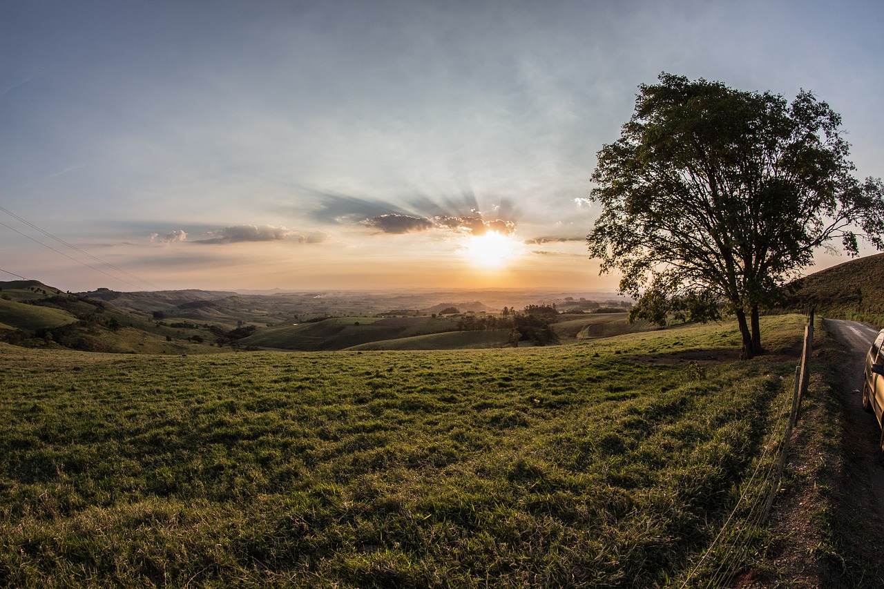 Image - nature landscape plains grass