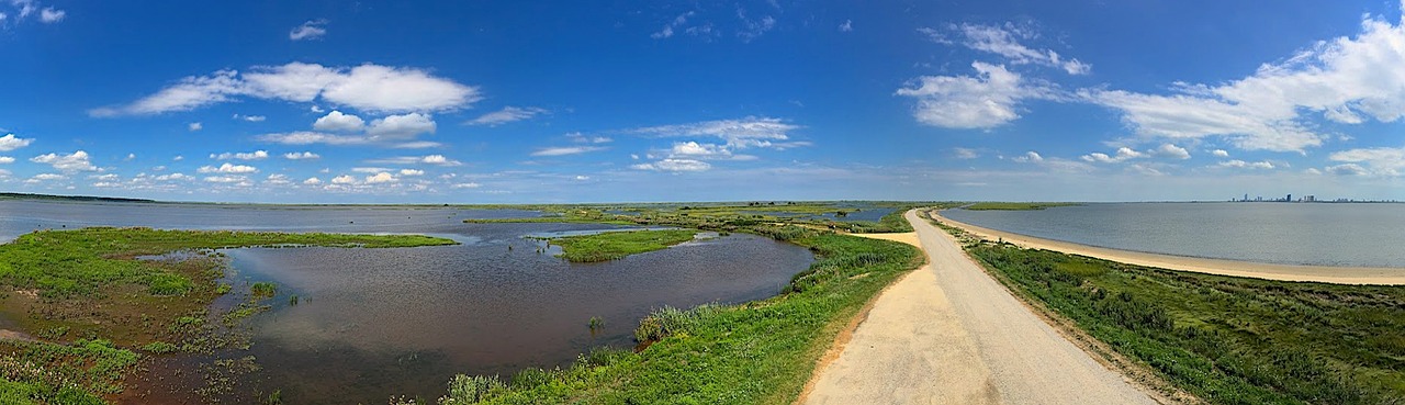 Image - marsh landscape estuary color