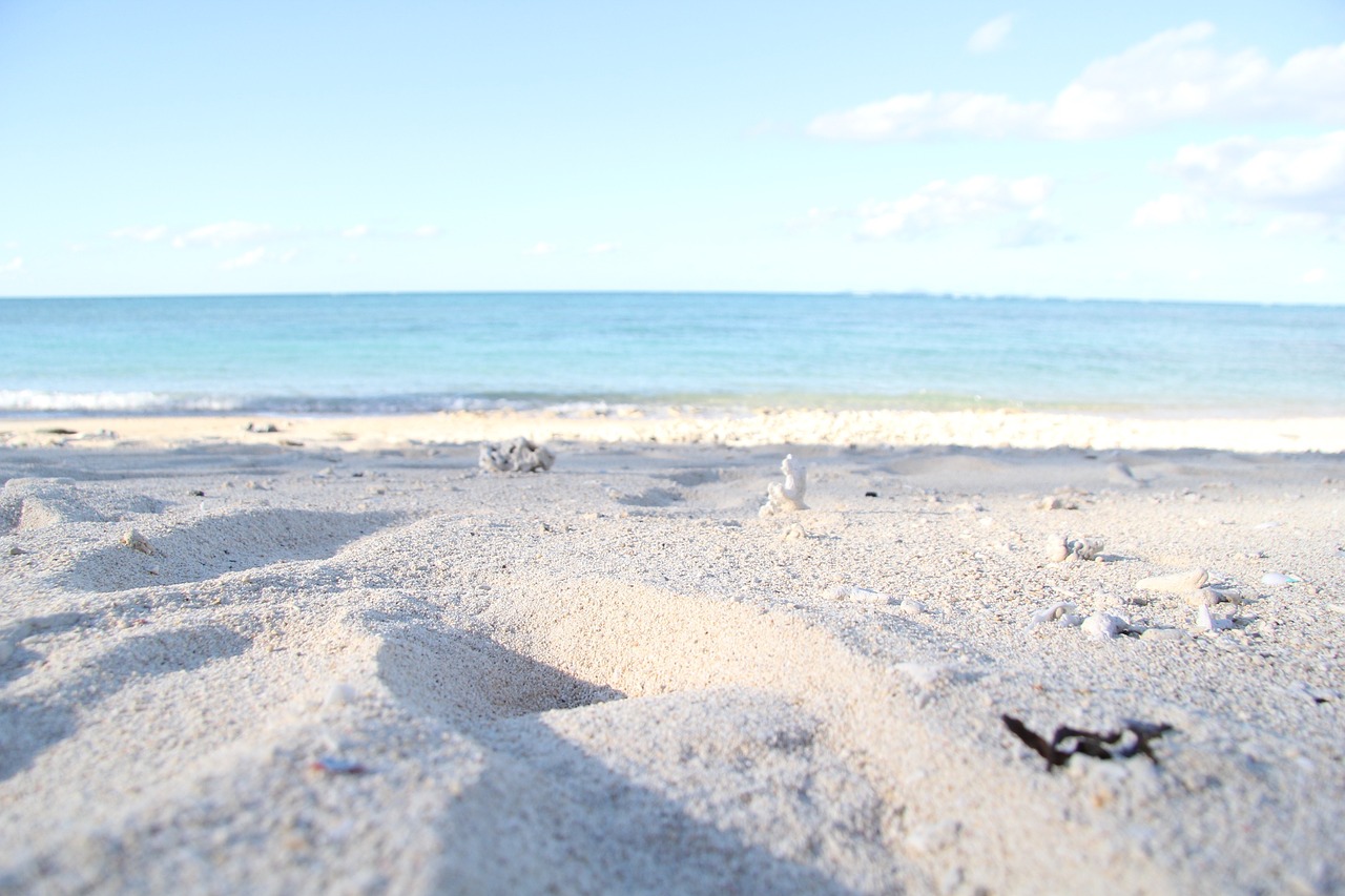 Image - beach sandy okinawa northern sea