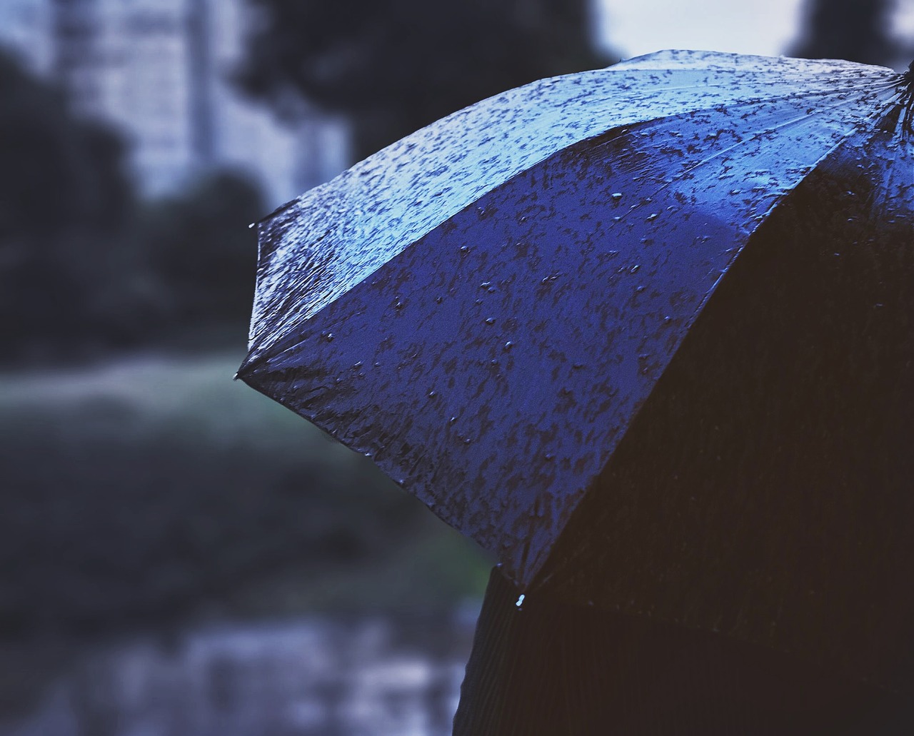 Image - fuji nikon umbrella