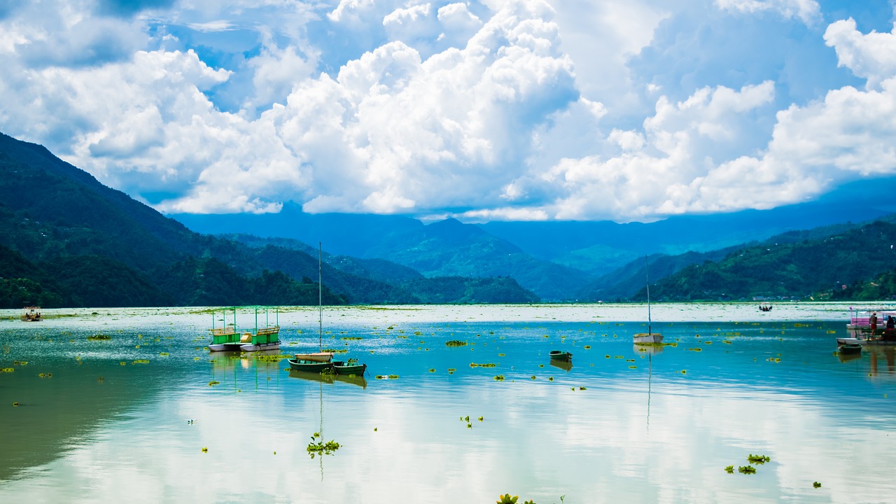 Image - lake fewa lake nepal nature fewa