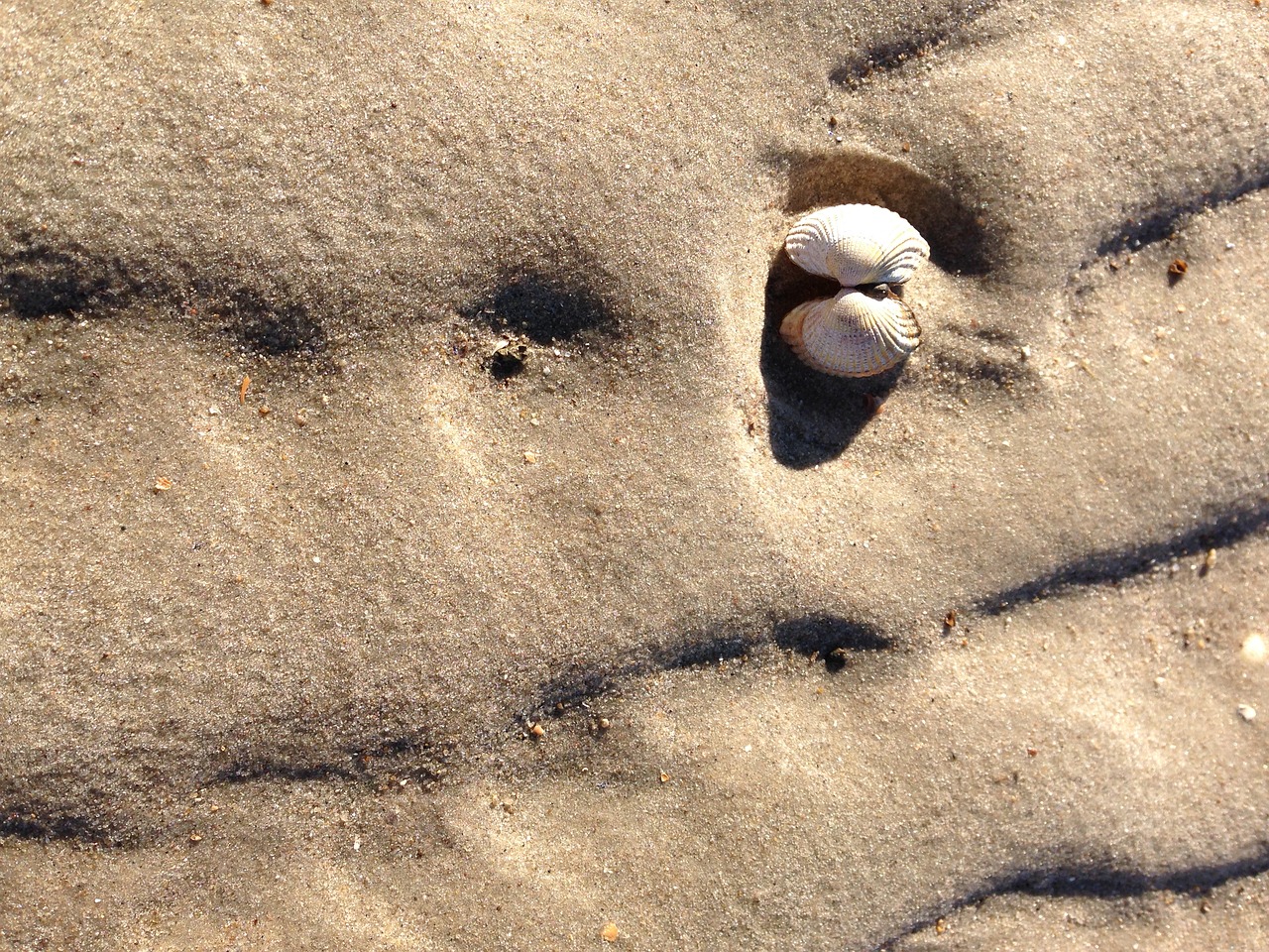 Image - north sea beach amrum coast sea