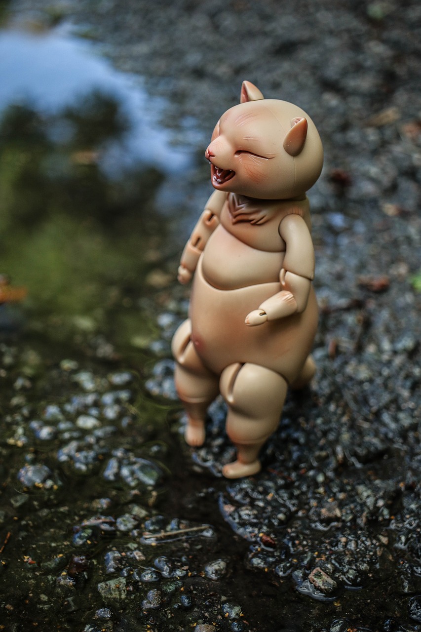 Image - toy puddle reflection water play