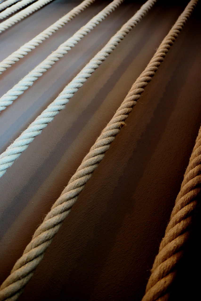 Image - ropes dew cord wrapped tether