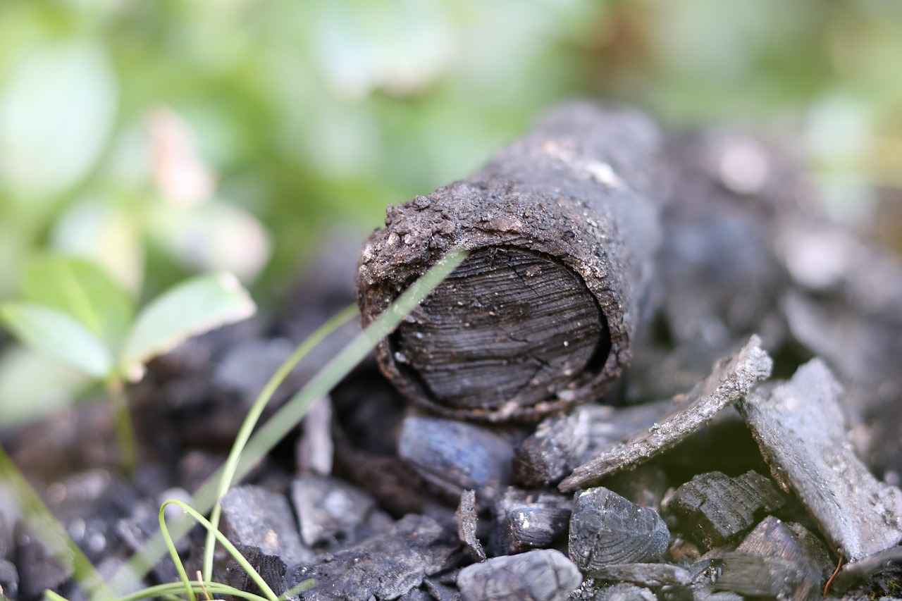 Image - carbon burned charred firewood