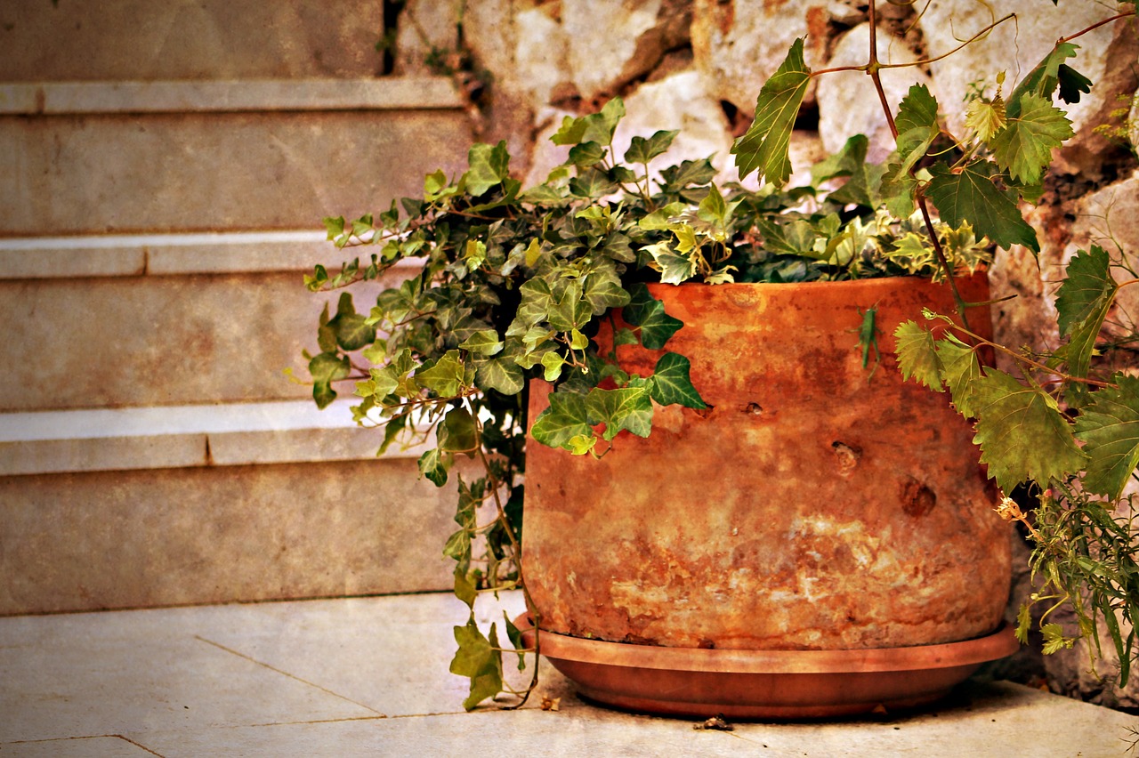 Image - plant tile yard stair mood