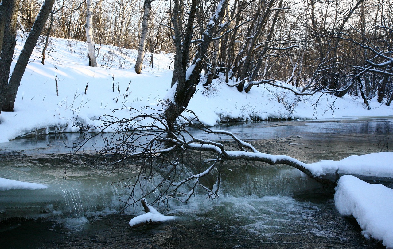 Image - river back on track bend water for