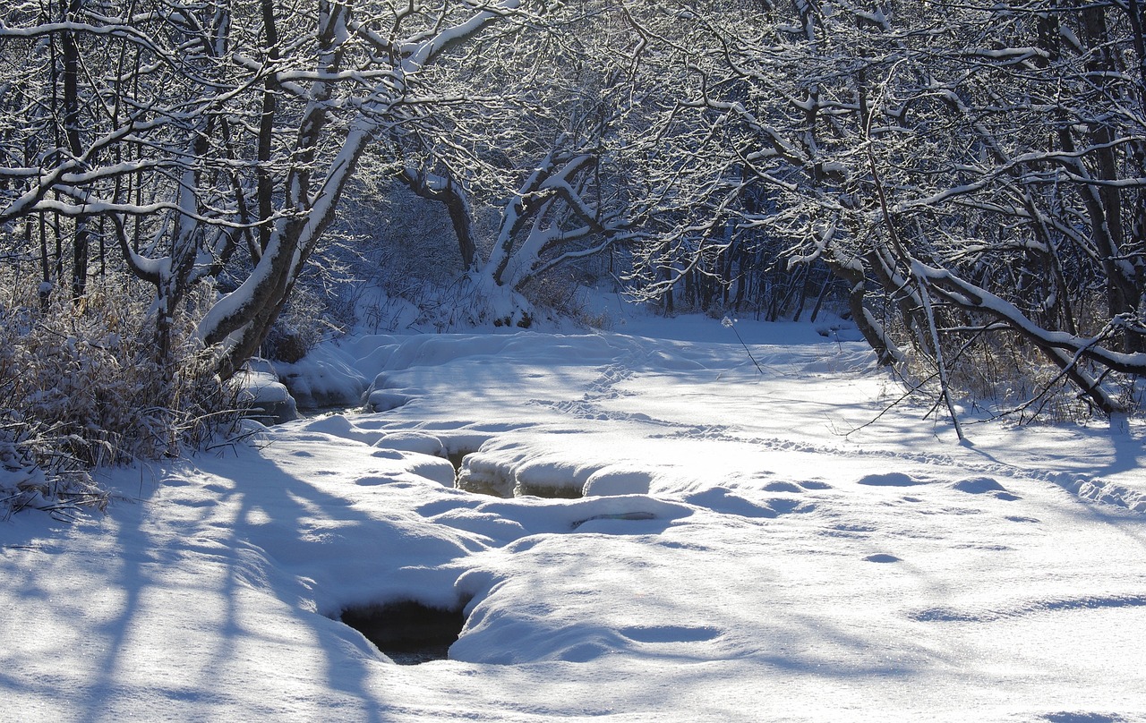 Image - river back on track bend water for