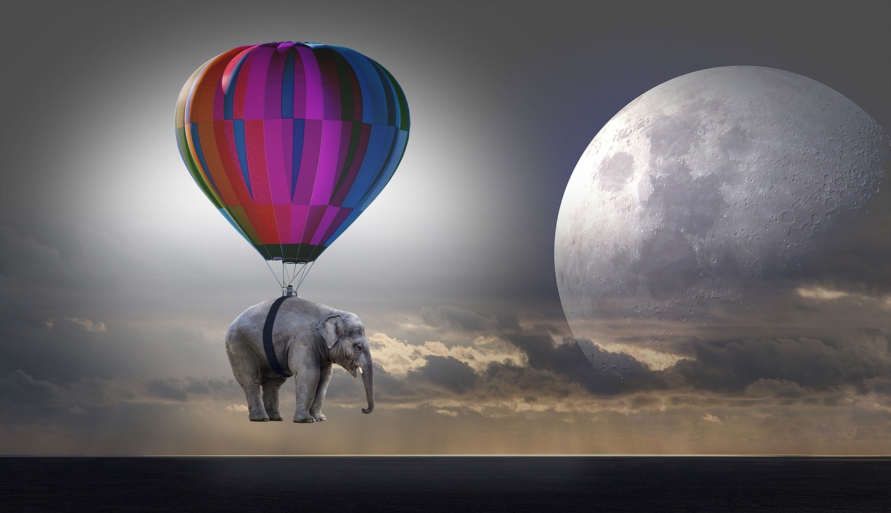 Image - elephant weightless balloon