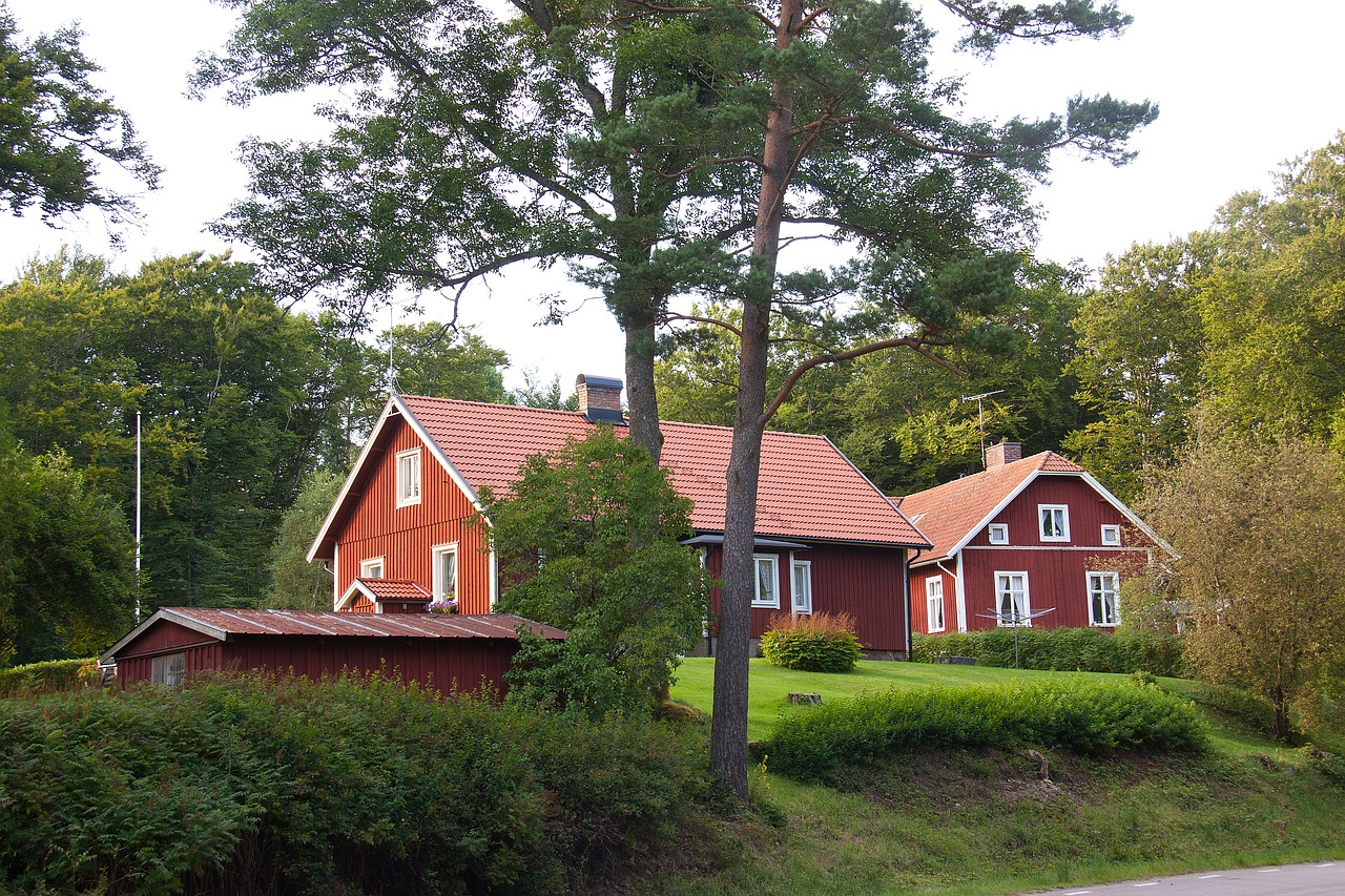 Image - forest woods house red lawn grass