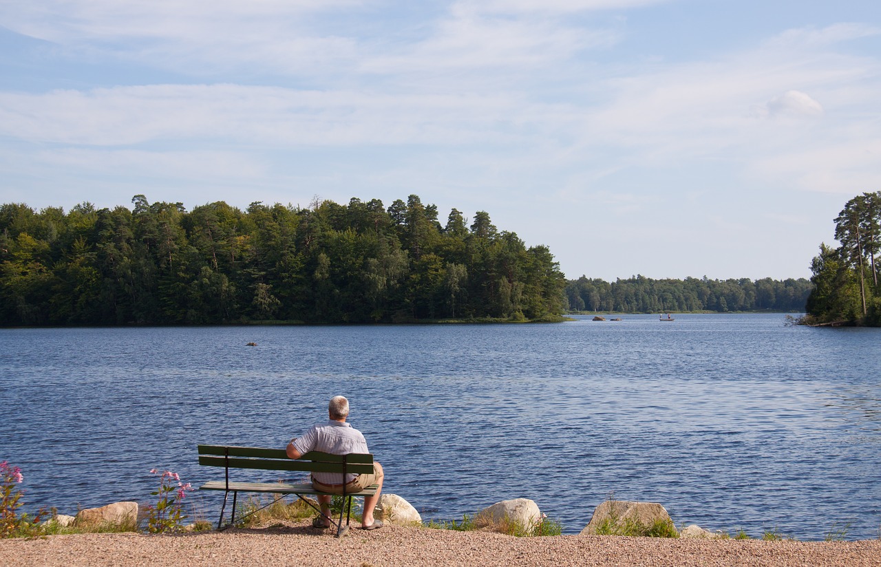 Image - lake forest woods person bench