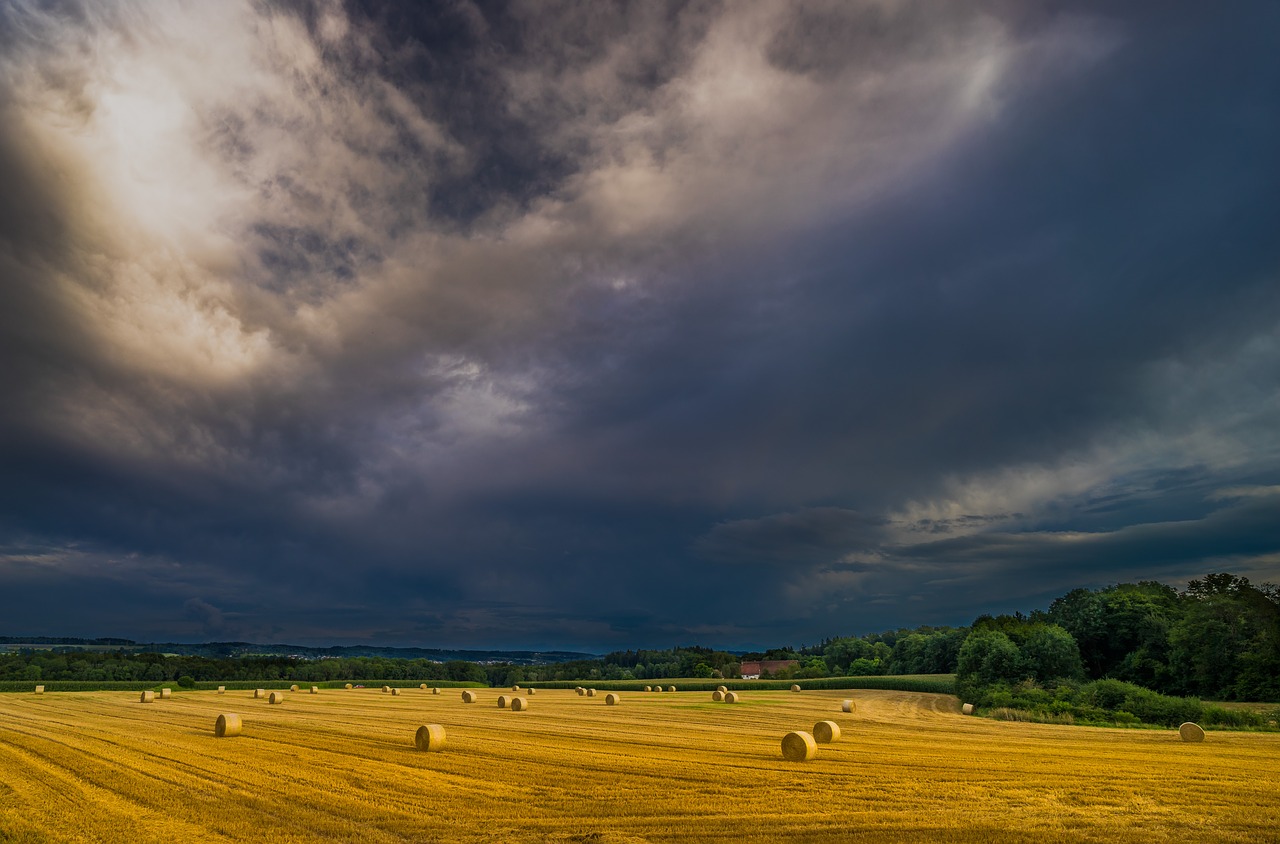 Image - nature landscape background