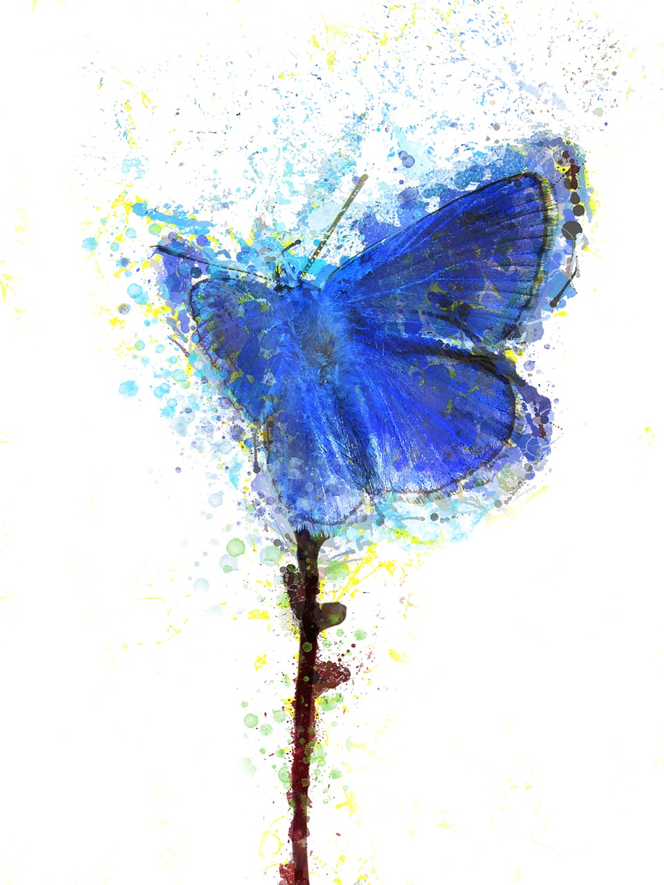 Image - butterfly blue insect watercolor