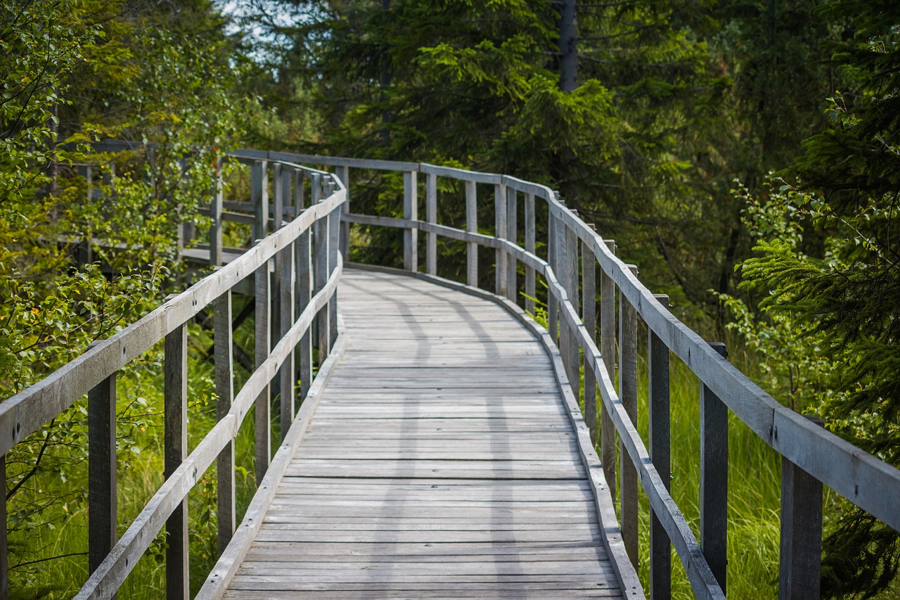 Image - path footbridge wooden walkway