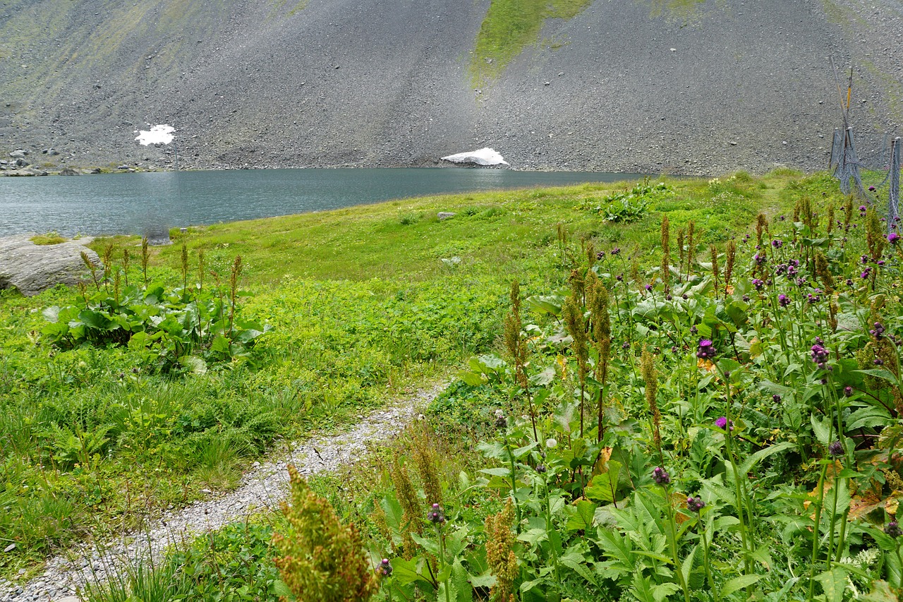 Image - flüelapass pass switzerland summer