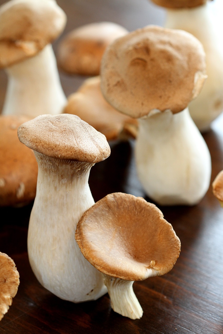 Image - mushrooms boletus homegrown food