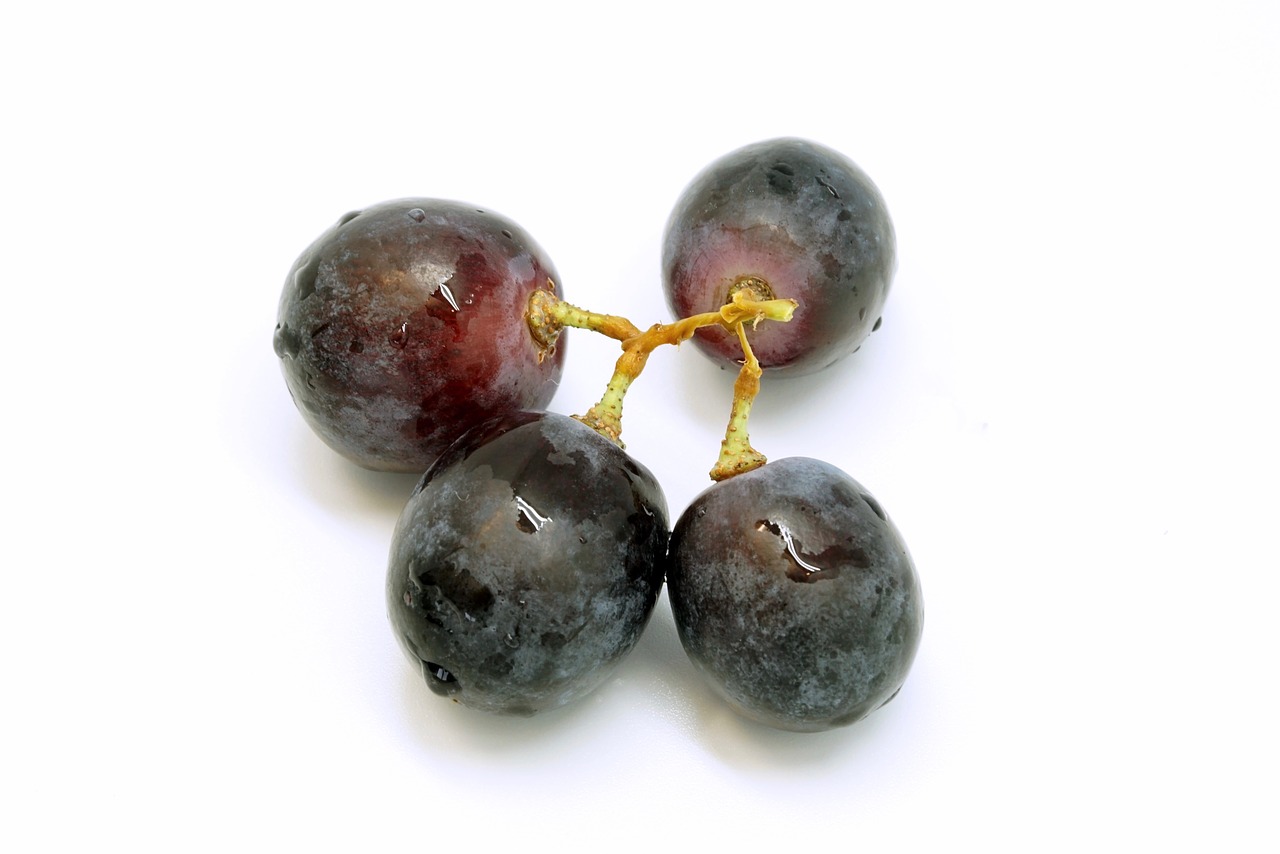 Image - grape fruit table grapes fruits
