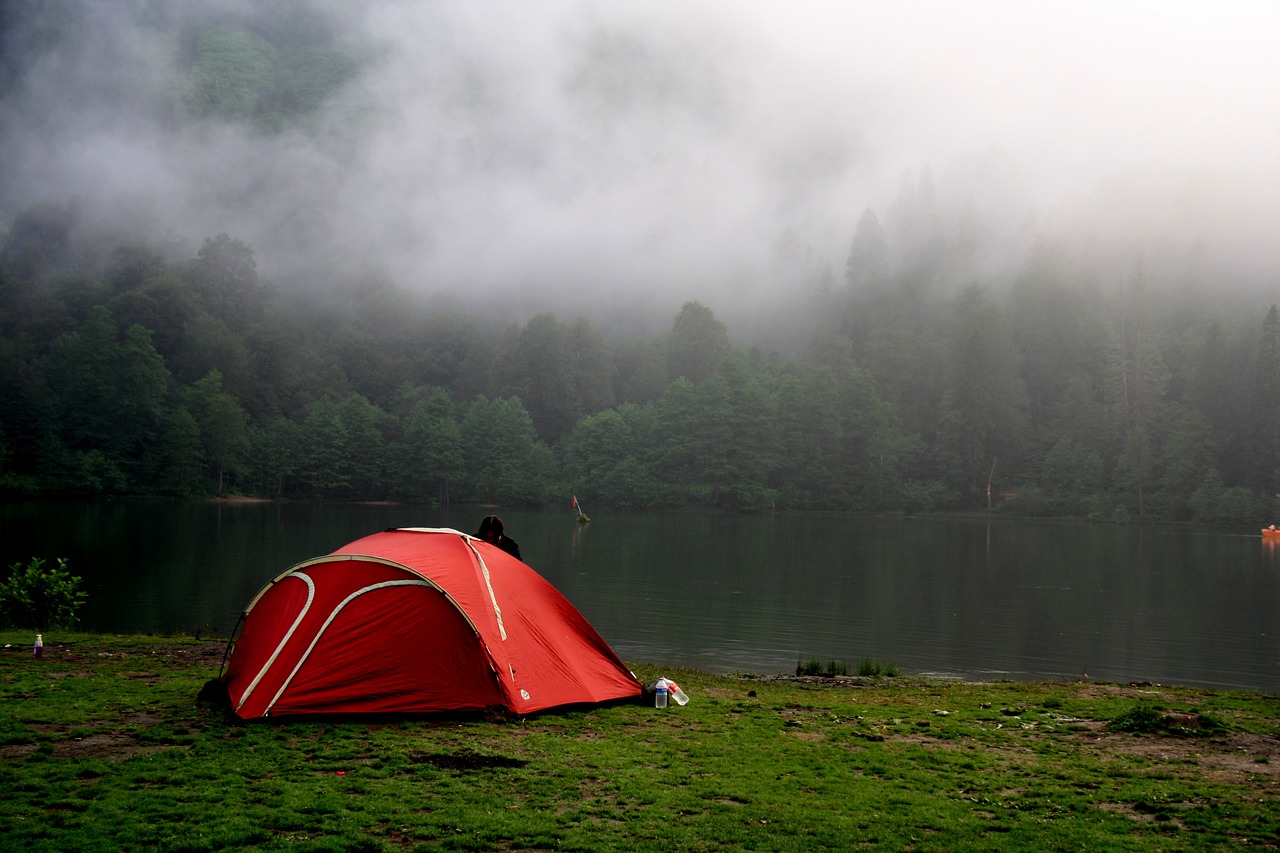 Image - artvin turkey nature forest borçka
