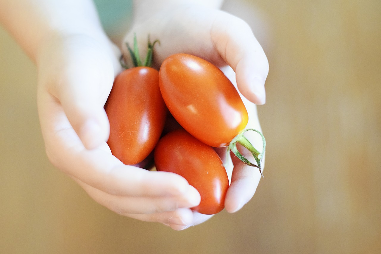 Image - cherry tomatoes tomatoes garden