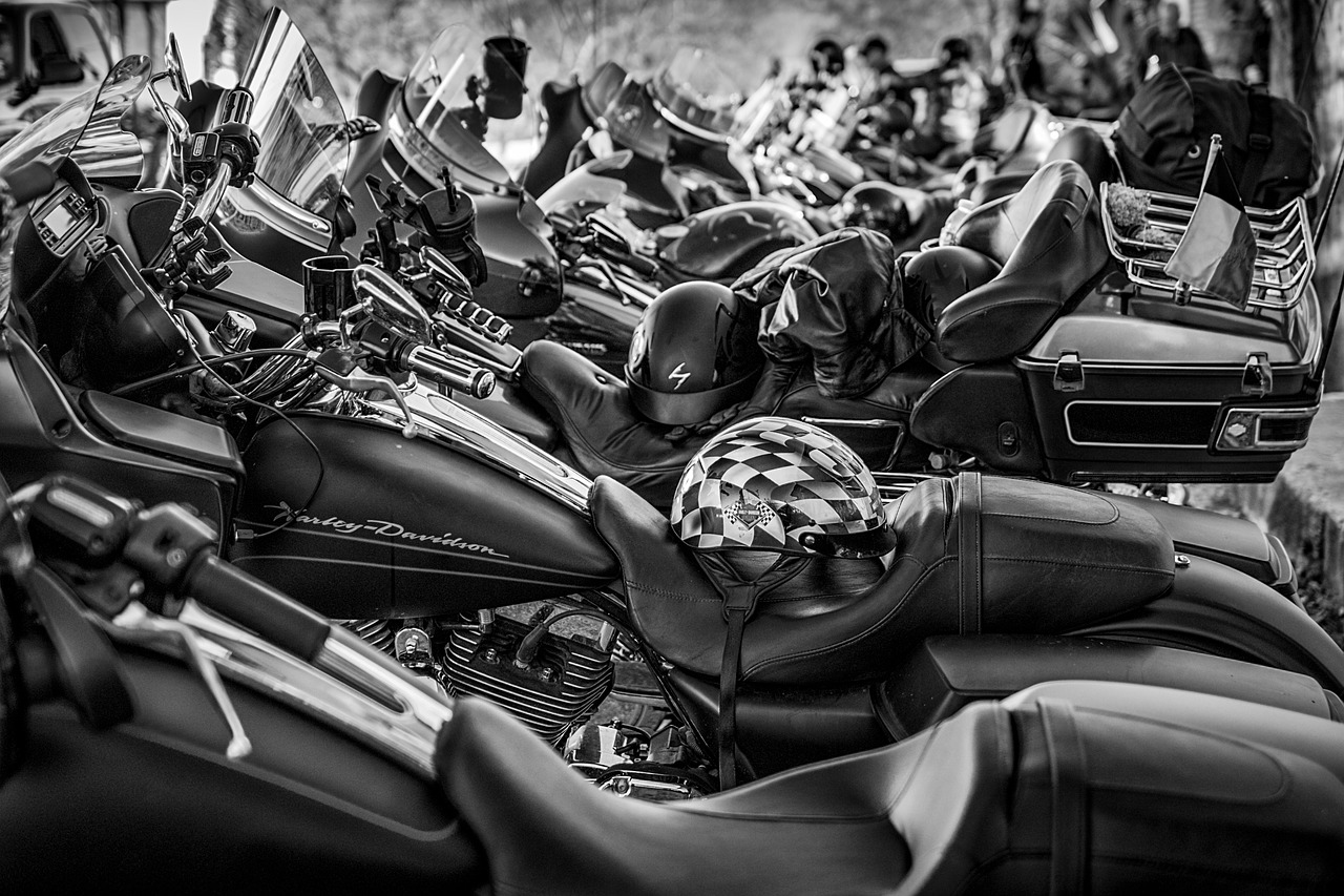 Image - motorcycle harley harley davidson