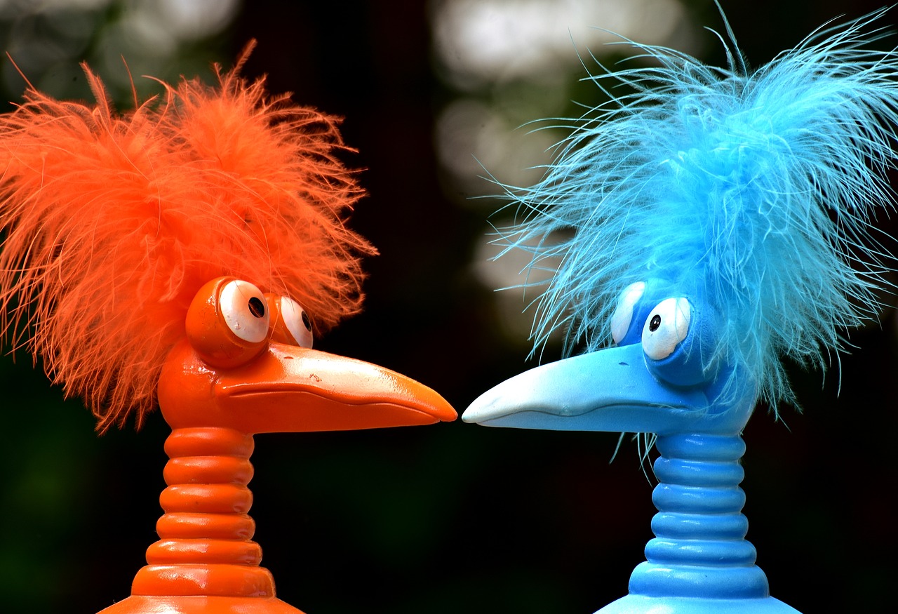 Image - jokers blue orange funny odd birds