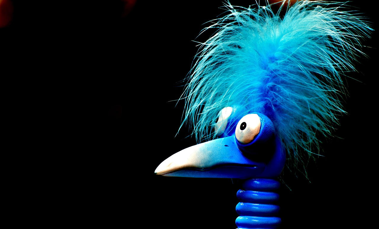 Image - joker blue funny weird bird cute