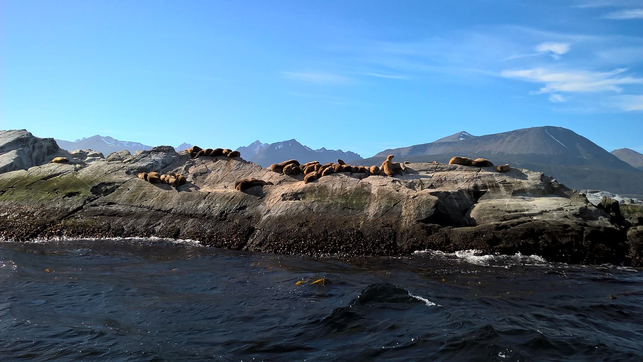 Image - beagle channel ushuaia land of fire