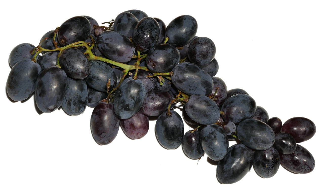 Image - grapes blue fruit fruits eat food