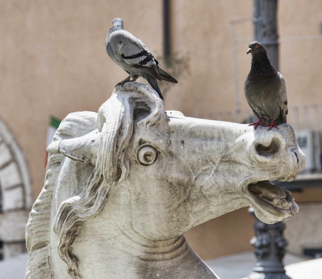 Image - rome italy italian architecture