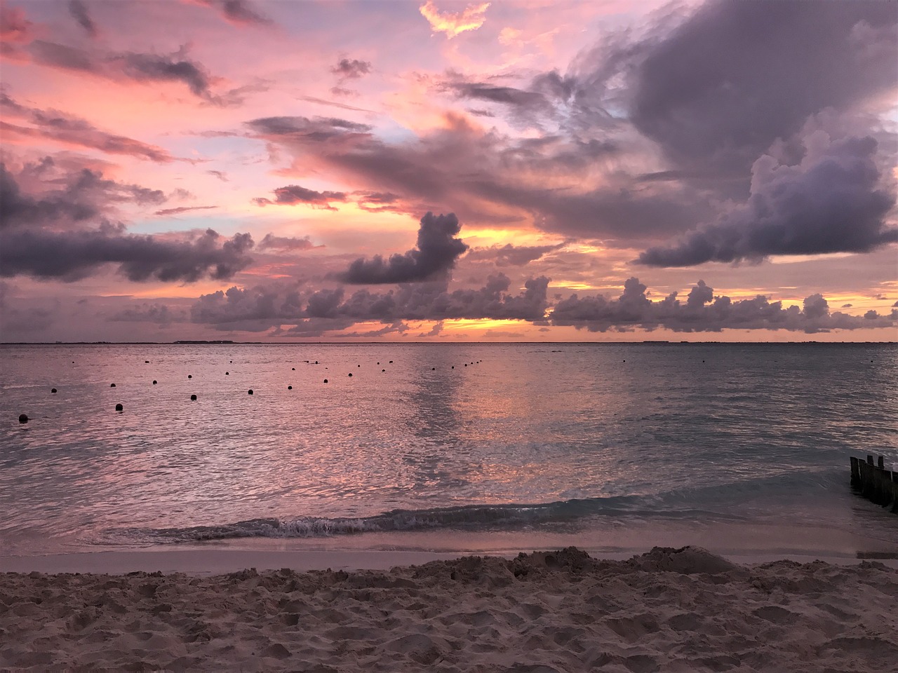 Image - beach sunset mexico ocean