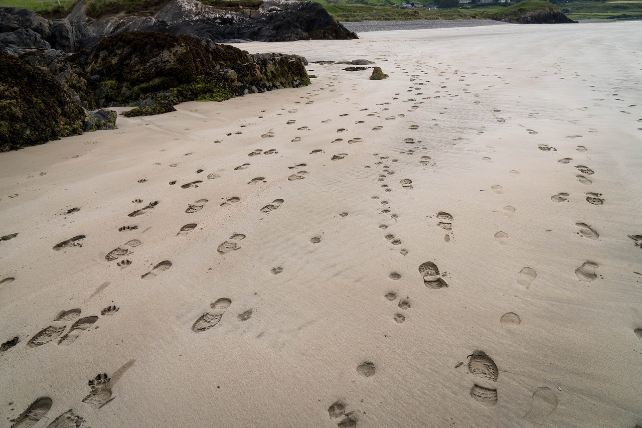 Image - sand traces beach footprint