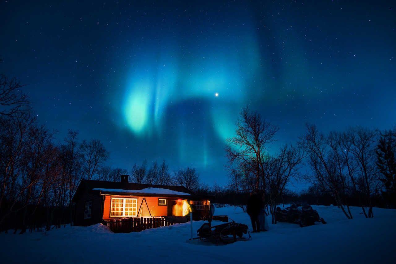 Image - nature aurora snow blanket trees