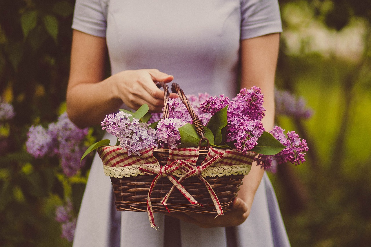 Image - woman people dress basket woven