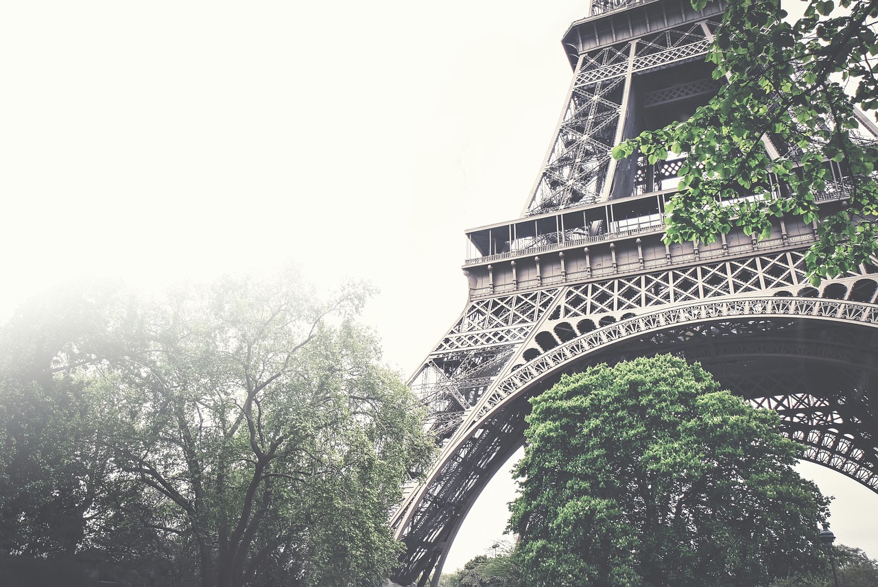 Image - eiffel tower architecture trees