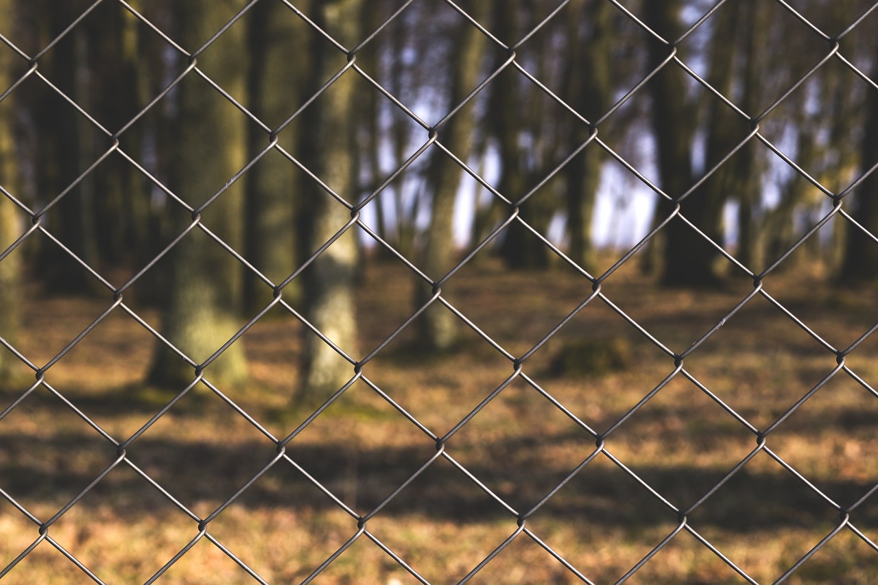 Image - chainlink fence park nature trees