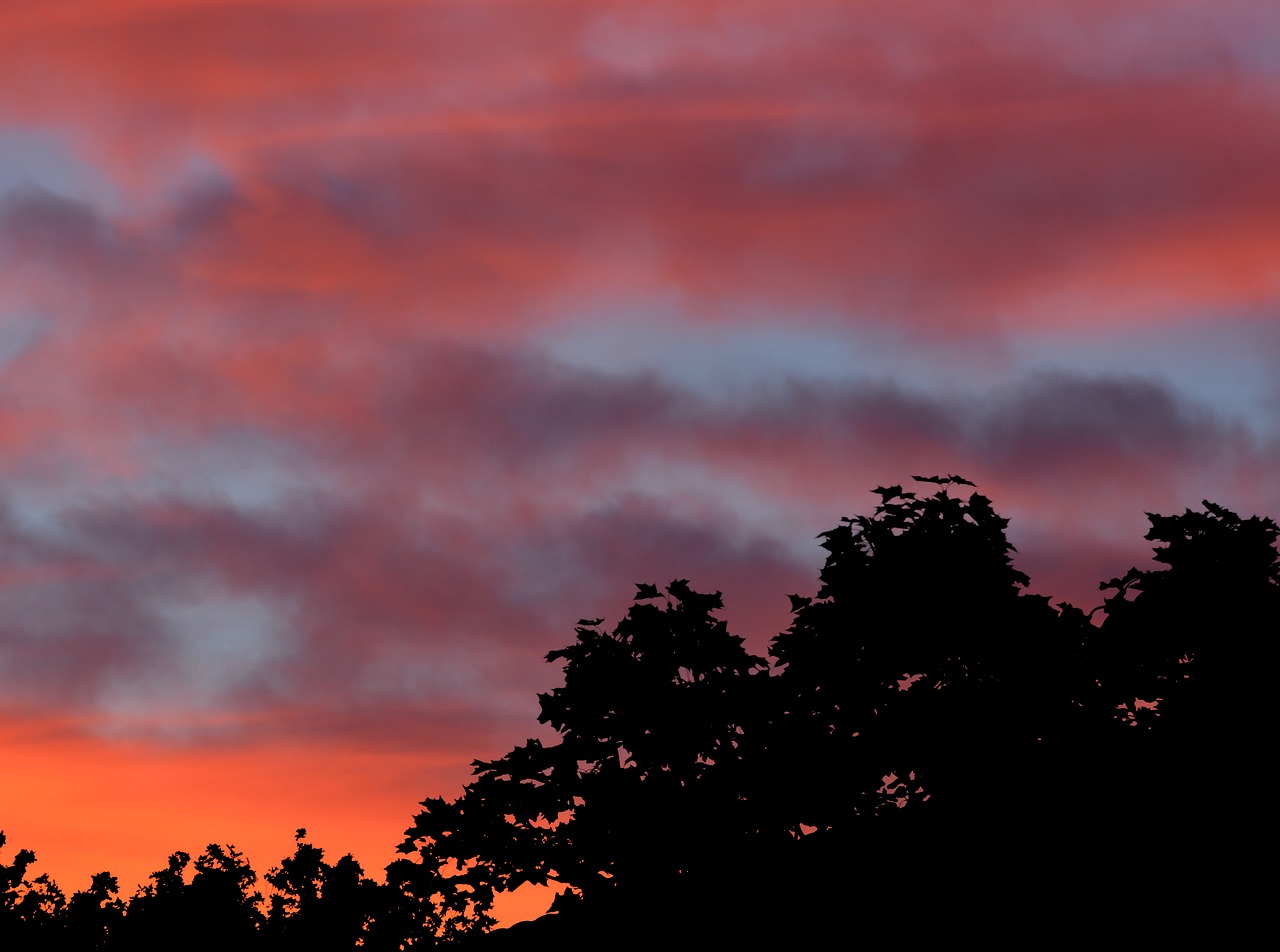 Image - himmel sunset cloud tree twilight