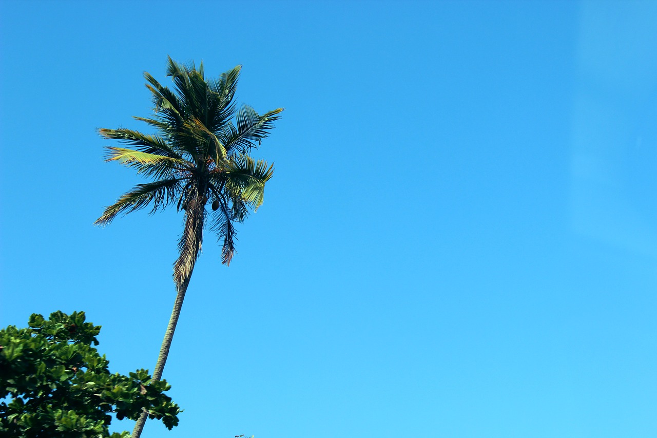 Image - blue sky sunshine summer