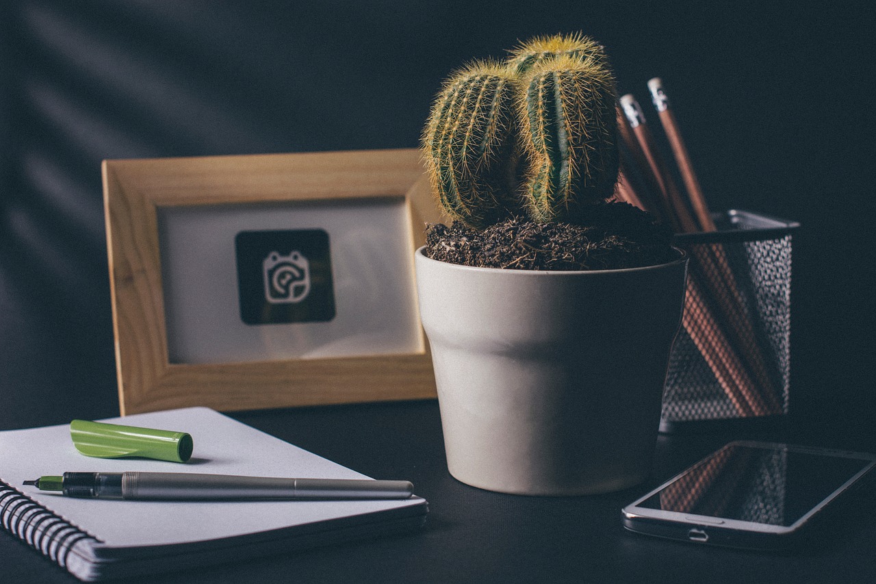 Image - cactus office desk notebook
