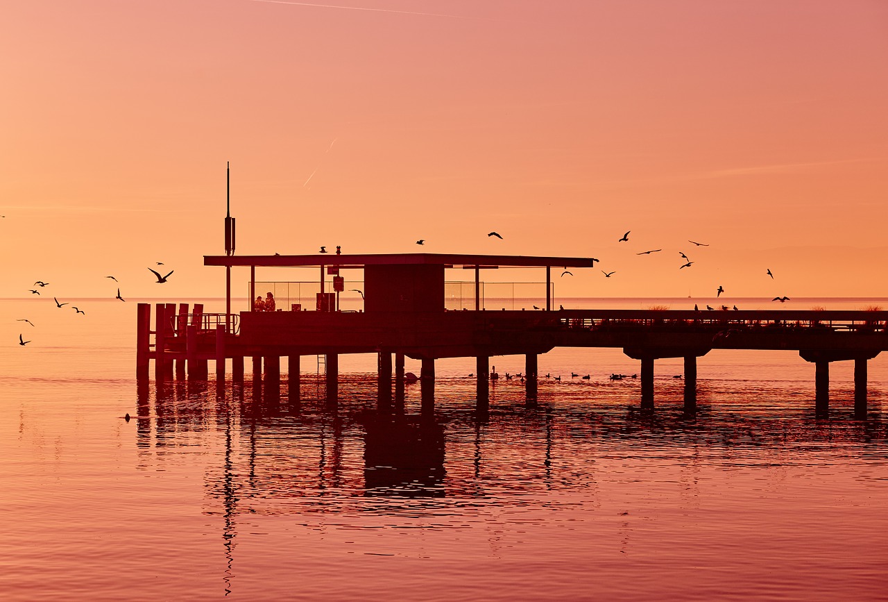 Image - pier dock beach ocean sea birds