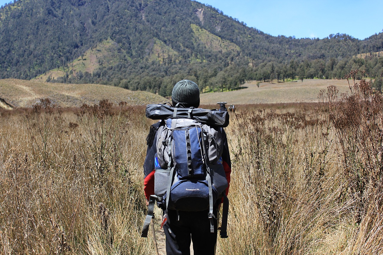 Image - semeru mount dry season dry hiker