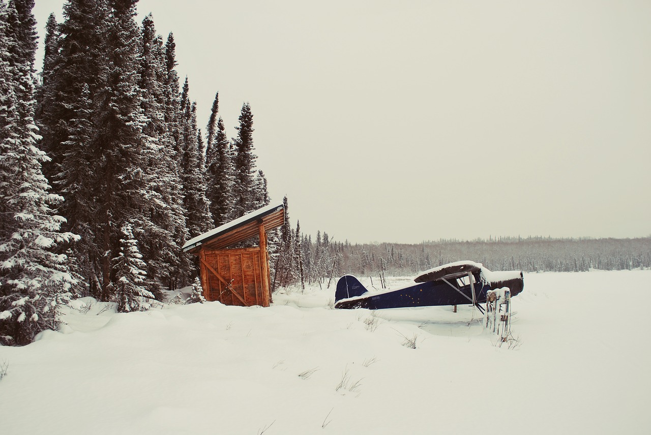 Image - airplane transportation winter snow