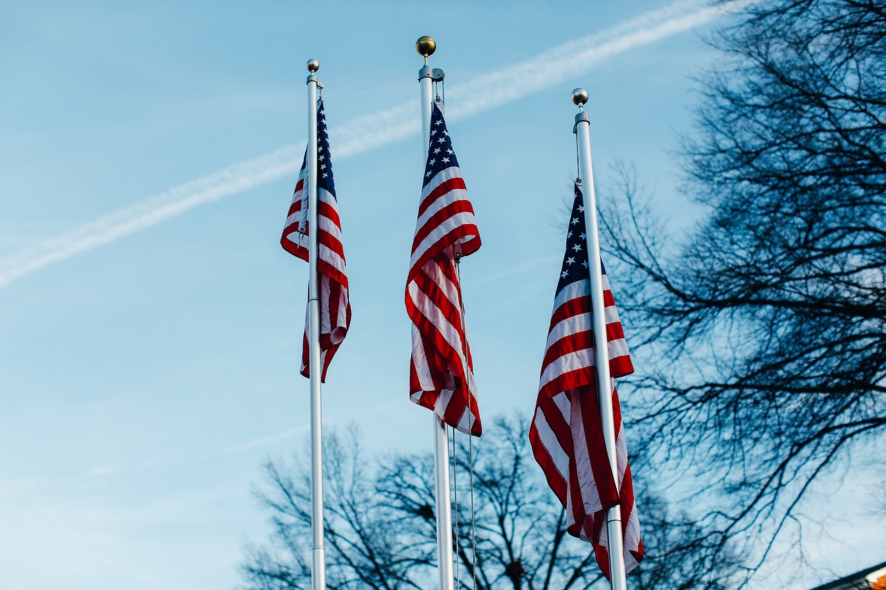 Image - american flags usa united states