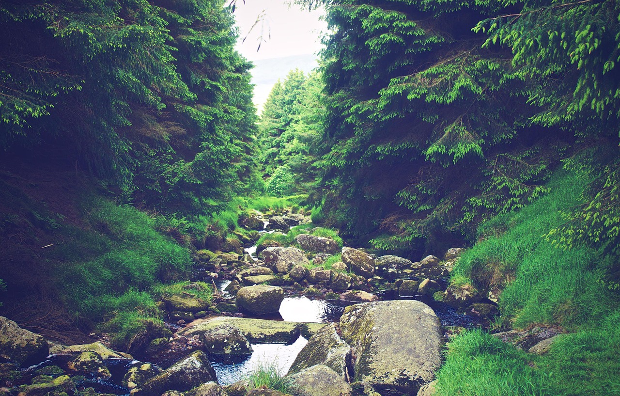 Image - river stream water rocks hiking