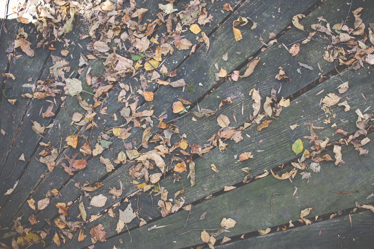 Image - wood deck leaves autumn fall