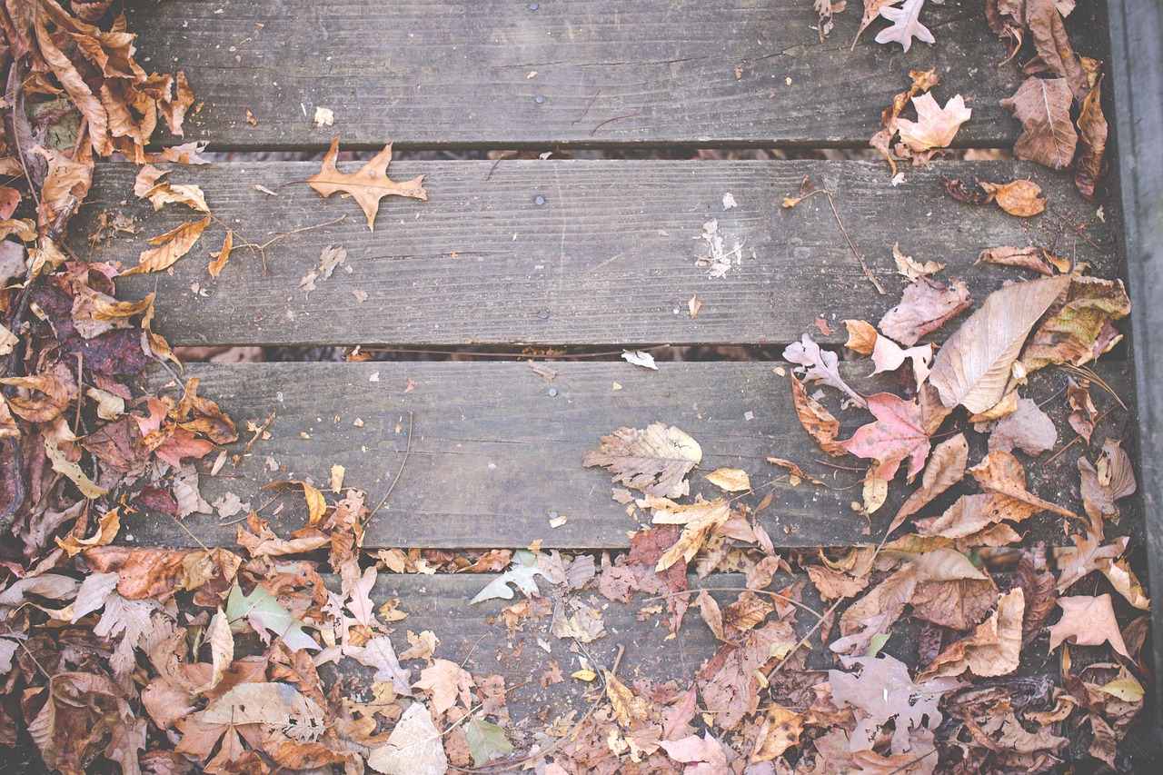 Image - wood deck leaves autumn fall