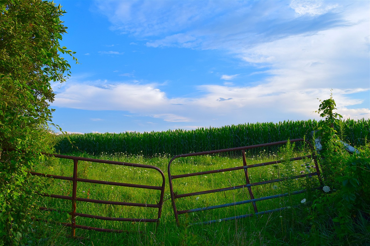 Image - fence field farm sunset landscape