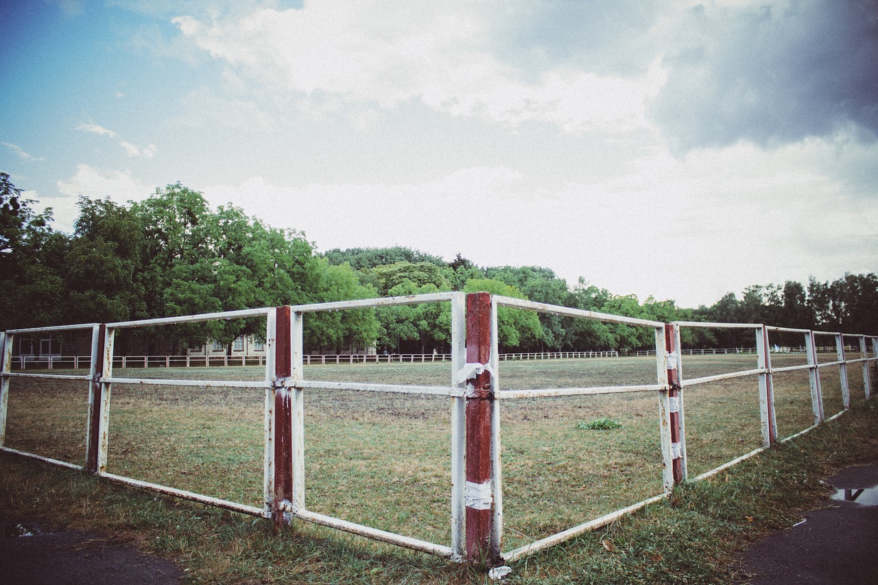 Image - fence yard field green grass